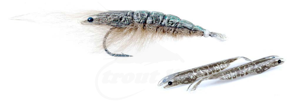 Fish On Tungsten Bodies Shrimp Body Fly tying