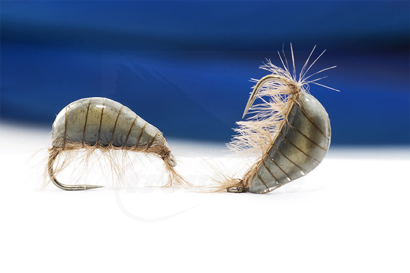 Troutline Tactical Jan's Deep Grey Tan Gammarus BL Nymph
