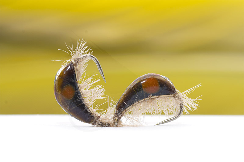 Troutline Tactical Jan's Infected Brown Gammarus BL Nymph