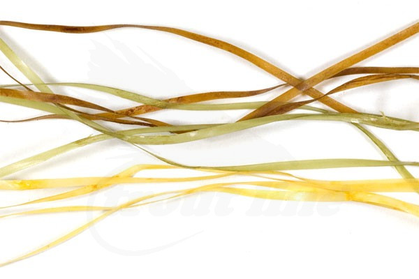 Troutline Synthetic Quill