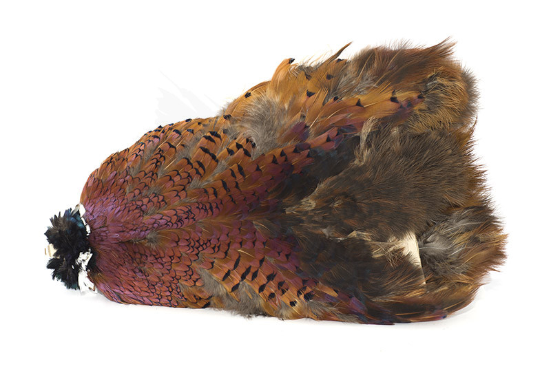 Troutline Ring-Neck Pheasant Skin without tail and wings
