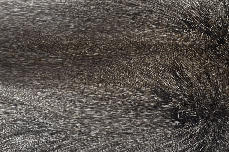 Troutline Tanned Grey Squirrel Skins-natural