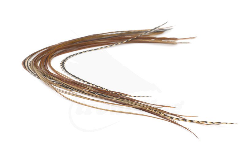 Troutline Size Selected Genetic Saddle Packs #16