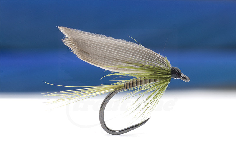 Troutline Classic Olive Quill Wet Fly BL