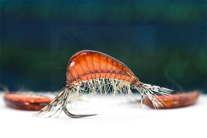 25x CORPS TUNGSTENE TUNGSTEN BODY 8mm nymph gammare shrimp scud mosca fliegen 