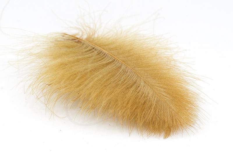 Troutline Hand Selected CDC 50 Feathers Pack