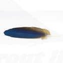 Macaw Body Feather 15-25cm