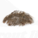 Troutline English Partridge Natural Brown -1gr