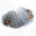 Natural Grey Selected Partridge Feathers