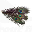 Troutline Selected Big Peacock Eye Feathers