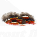Troutline Lady Amherst Pheasant Red Hackle