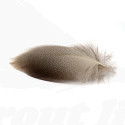 Troutline Mallard Bronze Feathers