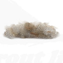 Troutline English Partridge Natural Grey -1gr