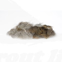 Troutline Grey Partridge Neck and Back Selected 50 Feathers