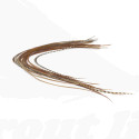 Troutline Size Selected Genetic Saddle Packs #12