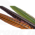 Troutline Ring-neck Pheasant Pack of 2 Tail Feathers 11-16"