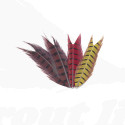 Troutline Ring-neck Pheasant Tail Feathers Segments