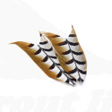 Troutline Venery Pheasant Tail Feathers Segments -natural