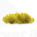 Troutline English Grey Partridge Dyed Yellow -1gr