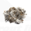 Troutline Grey Partridge Loose Feathers 2 grams Pack -natural