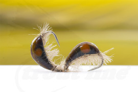Troutline Tactical Jan's Infected Brown Gammarus BL Nymph