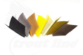 JMC Condor Substitute