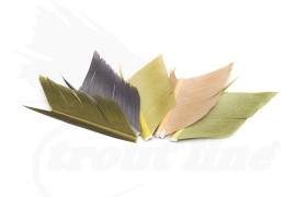 Mouche De Charette Turkey Quill Segments