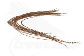 Troutline Size Selected Genetic Saddle Packs #12