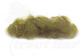 Troutline English Grey Partridge Dyed Olive -1gr