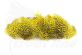 Troutline English Grey Partridge Dyed Yellow -1gr