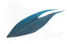 Troutline Macaw Side Tail Section Blue-Yellow Color