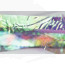 Troutline Atomic Backs for Nymphs-peacock