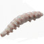 Berkley PowerBait Sparkle Honey Worm 2.5cm 55pcs - natural/scales