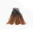 Coq de Leon Pardo Rihnon Feathers-pardo rubion