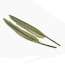 Goose Quill Feather Pair -olive