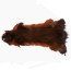 Troutline Tanned Grey Squirrel Skins-rusty brown