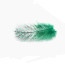 Guinea Fowl Feathers-green highlander