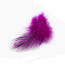 Guinea Fowl Feathers-magenta