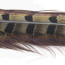 Hends Pheasant Tail Feathers -PT 01