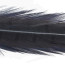 Hends Pheasant Tail Feathers -PT 30