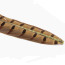 Troutline Ring-neck Selected Pheasant Tail Center Feathers 18-20'-olive