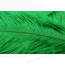 Ostrich Feathers 6-8" -green highlander