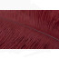 Ostrich Feathers 6-8" -rusty brown