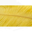 Ostrich Feathers 6-8" -banana yellow