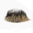 Coq de Leon Pardo Rihnon Feathers-pardo encendido