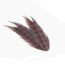Troutline Ring-neck Pheasant Tail Feathers Segments -fiery brown