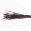 Hand Selected Stripped Peacock Quill-dark claret