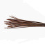 Hand Selected Stripped Peacock Quill-ginger