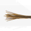 Hand Selected Stripped Peacock Quill-golden olive