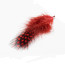 Guinea Fowl Feathers-red